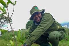 IMG-20231113-WA0038