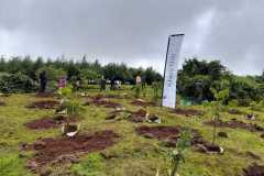 IMG-20231113-WA0077