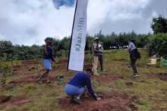 IMG-20231113-WA0079