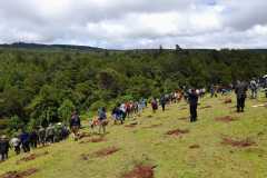 IMG-20231113-WA0093