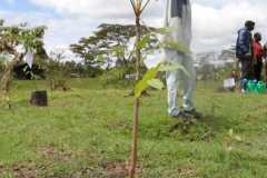 IMG-20231113-WA0255