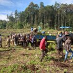 Launch of Long Rains Tree Planting at the Counties