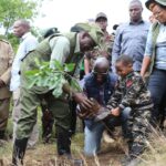 PRESIDENT RUTO LEADS NATIONAL TREE GROWING EXERCISE