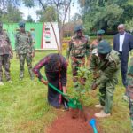 Taking Advantage of the Long Rains to Grow Trees…
