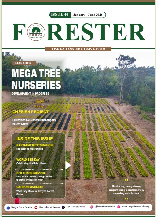 foester january june 2026